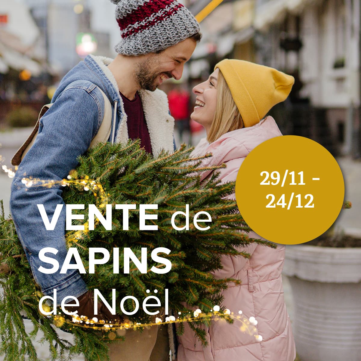 vente de sapins